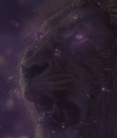 CryptoLeo